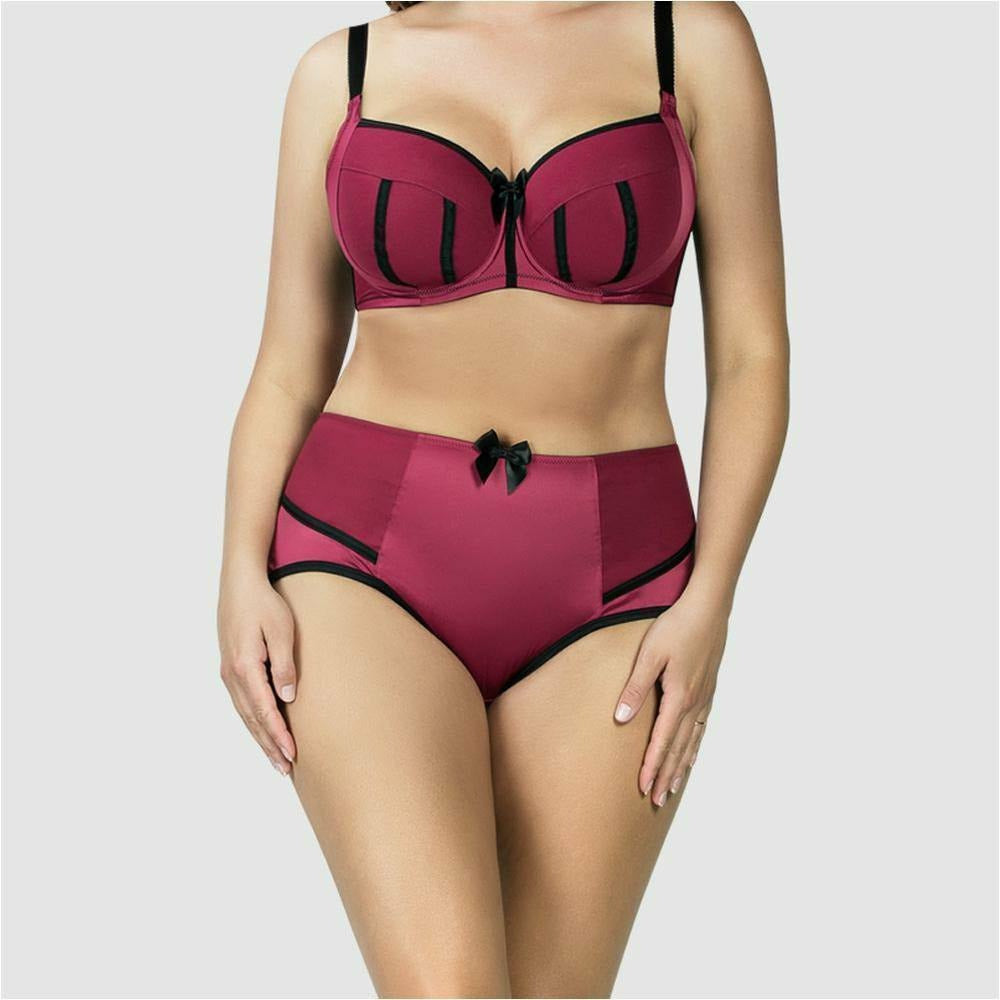 Charlotte High waist brief - Style Gallery