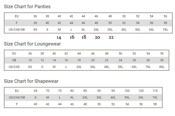 Powerlace High Waist Lace Shaping Brief
