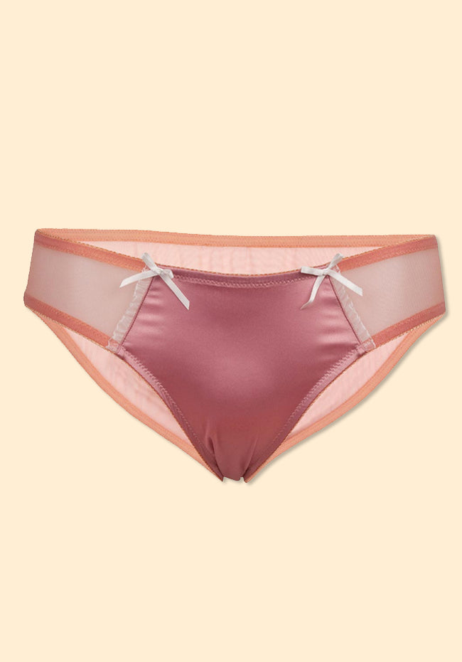 Women Satin and Lace Sheer Bikini