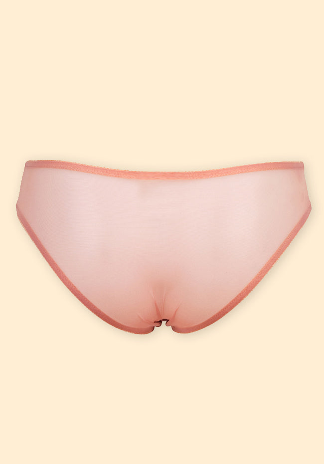 Women Satin and Lace Sheer Bikini