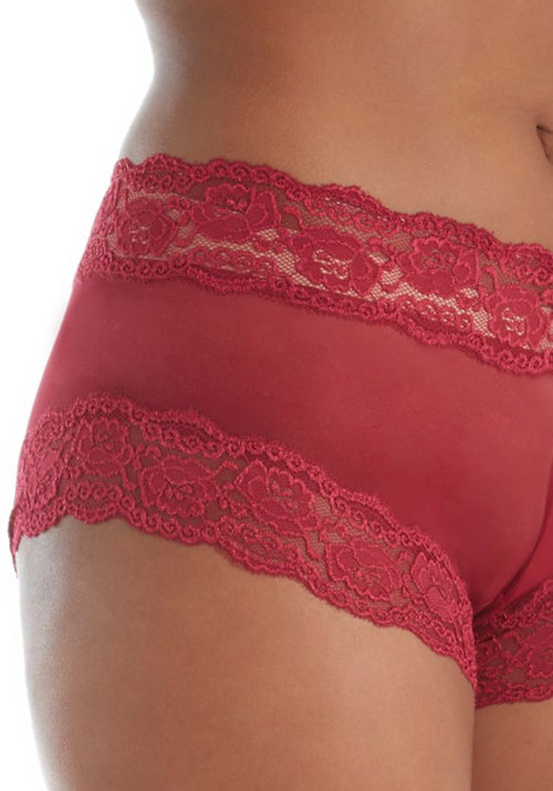 Kelly Sheer Mesh Boyleg Brief Garnet