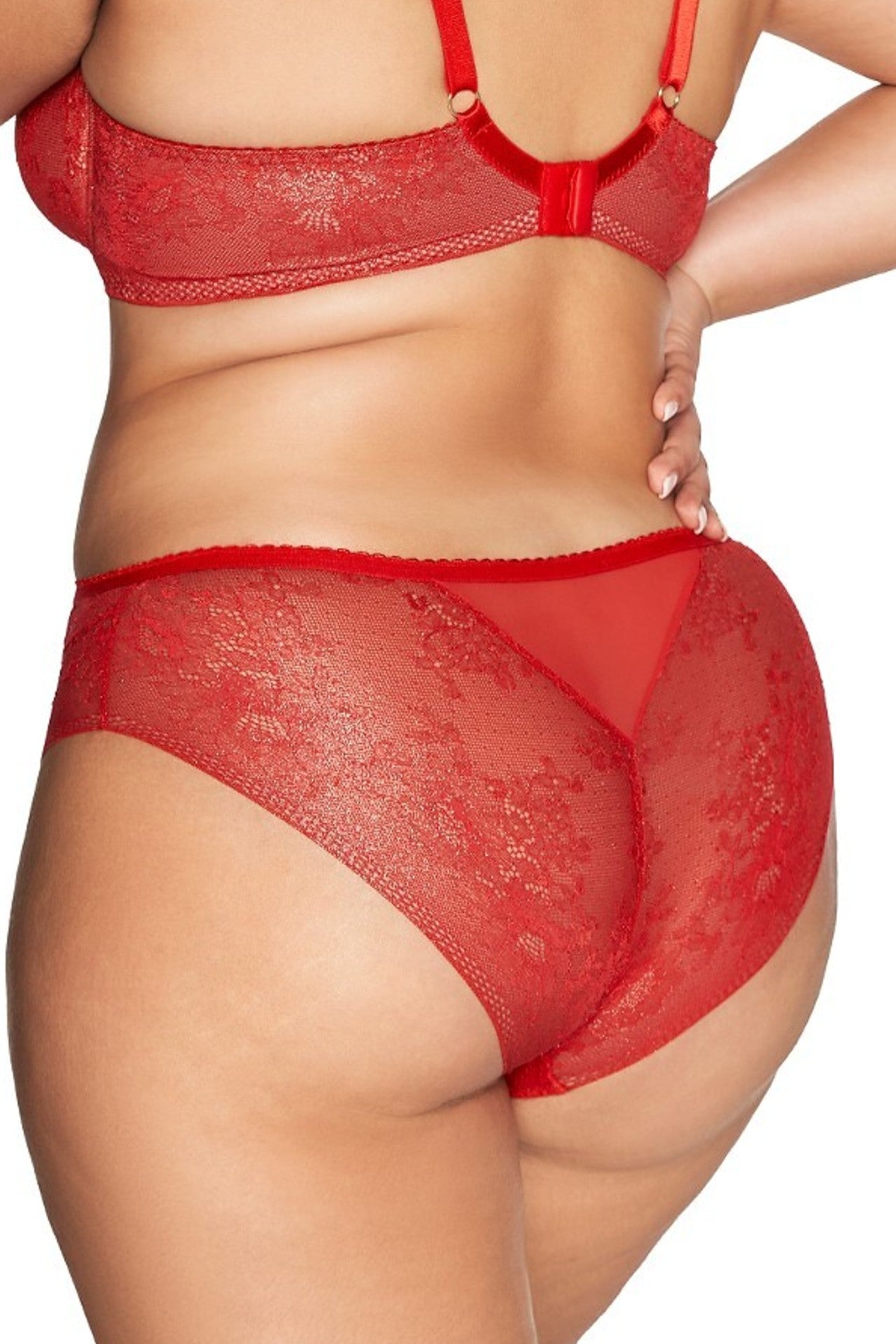 Red Embroidered Lace Brief by Ava