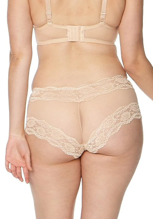 Kelly Sheer Mesh Boyleg Brief Nude
