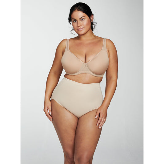 Unbelievable ComfortÂ® Plus Size High Waist Shaping Brief - Style Gallery