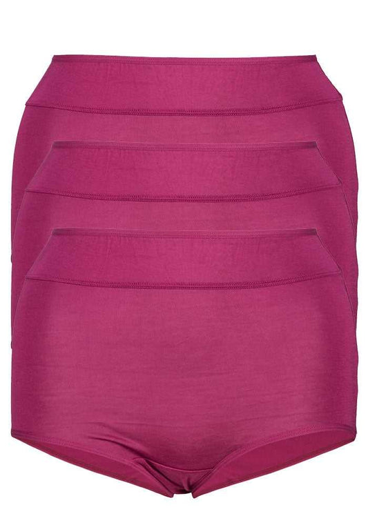 Plus Size Cotton Full Brief Panty 3 Pack Rosey