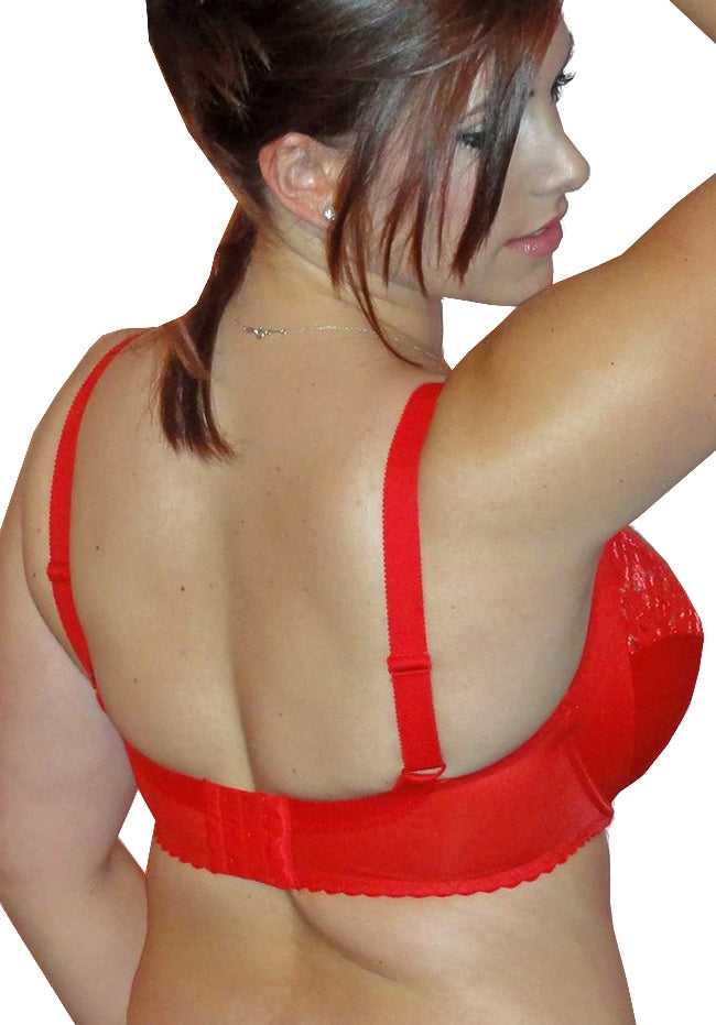 Women Red Lace Bra in Microfiber & Stretch Lace