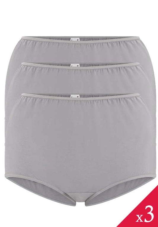 Pk of 3 Ultra Smooth Modal Rayon Full Brief